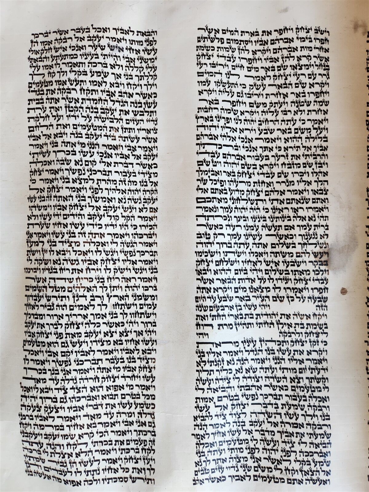 TORAH SCROLL FRAGMENT MANUSCRIPT on VELLUM antique BIBLE GENESIS 24:64 - 31:1