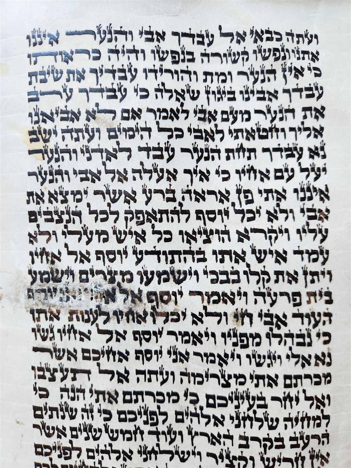 TORAH SCROLL FRAGMENT MANUSCRIPT on VELLUM antique BIBLE GENESIS 44:30-48:5