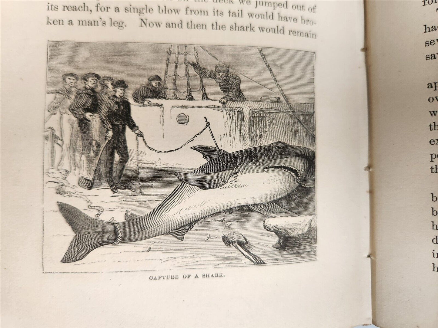 1871 MY APINGI KINGDOM LIFE in GREAT SAHARA PAUL DU CHAILLU antique ILLUSTRATED