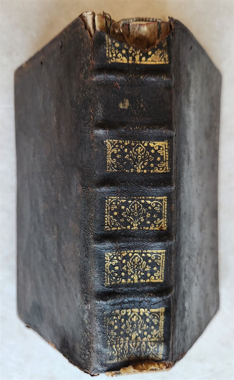 1726 HISTORY of FRANCE ILLUSTRATED w/ PORTRAITS of FRENCH KINGS S antique