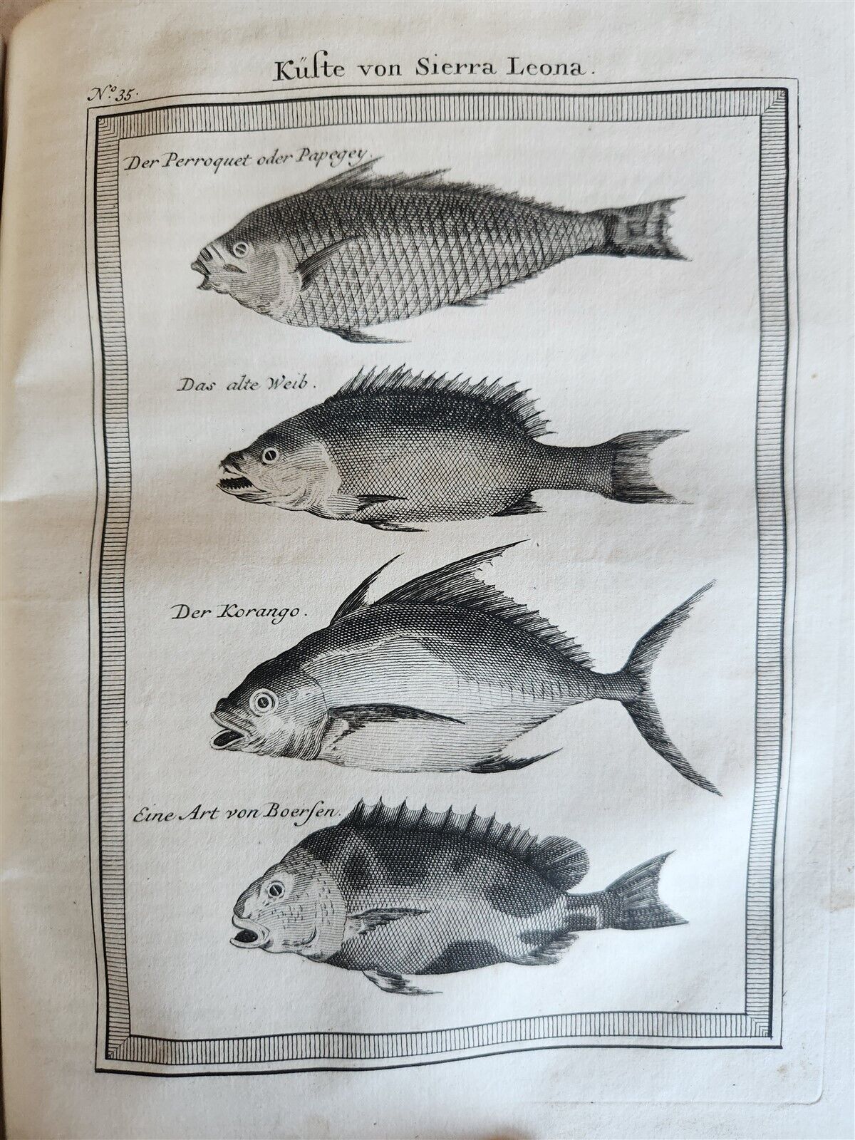 1748 HISTORY of TRAVELS Guinea Benin & Sierra Leone antique ILLUSTRATED