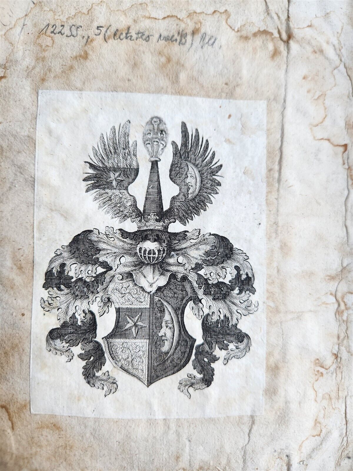 1539 PLATONIC PHILOSOPHY on MEDICINE of BEASTS CATTLE & BIRDS antique 16th CENT.