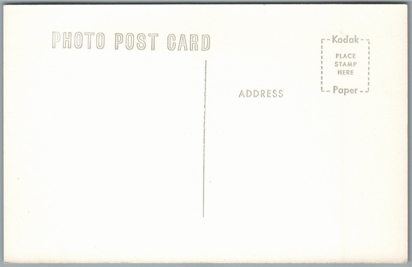 HOMOSASSA SPRINGS FL FISH FEEDING VINTAGE REAL PHOTO POSTCARD RPPC