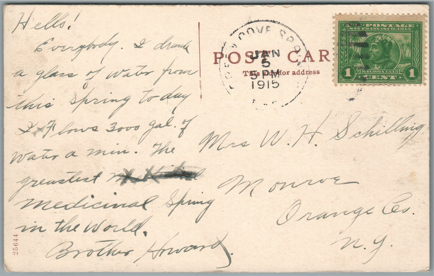 GREEN COVE SPRINGS FL BATHING PAVILION ANTIQUE POSTCARD