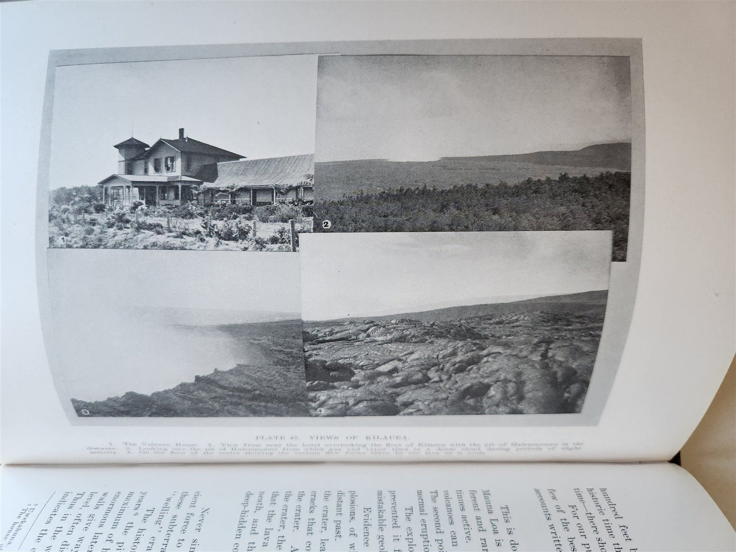 1915 NATURAL HISTORY of HAWAII antique ILLUSTRATED