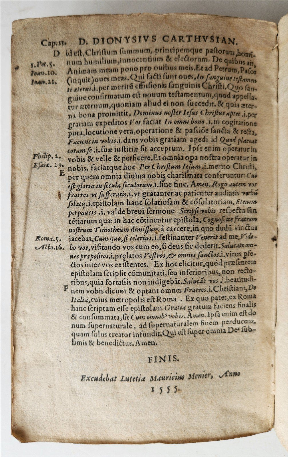 1555 BIBLE COMMENTARY by Dionysius Carthusianus antique VELLUM BINDING 16th CEN.