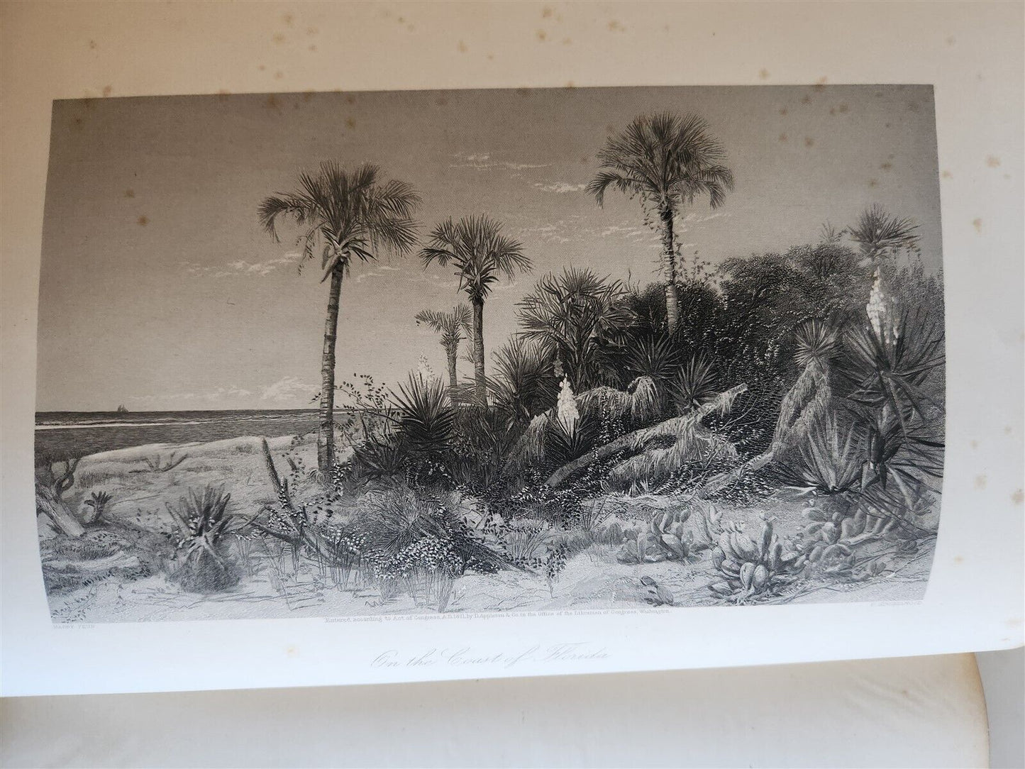 1874 PICTURESQUE AMERICA by WILLIAM BRYANT 2 FOLIO VOLUMES ILLUSTRATED antique