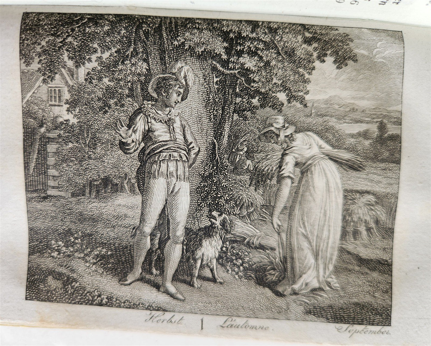 1805 ILLUSTRATED CALENDAR in GERMAN ANTIQUE