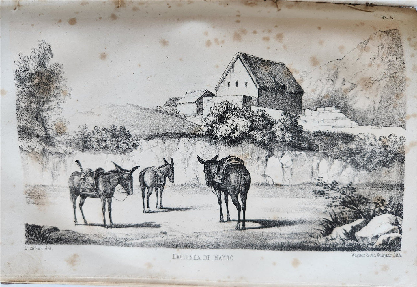 1854 Exploration of Amazon Valley by Lieut Herndon ANTIQUE 2 volumes ILLUSTRATED