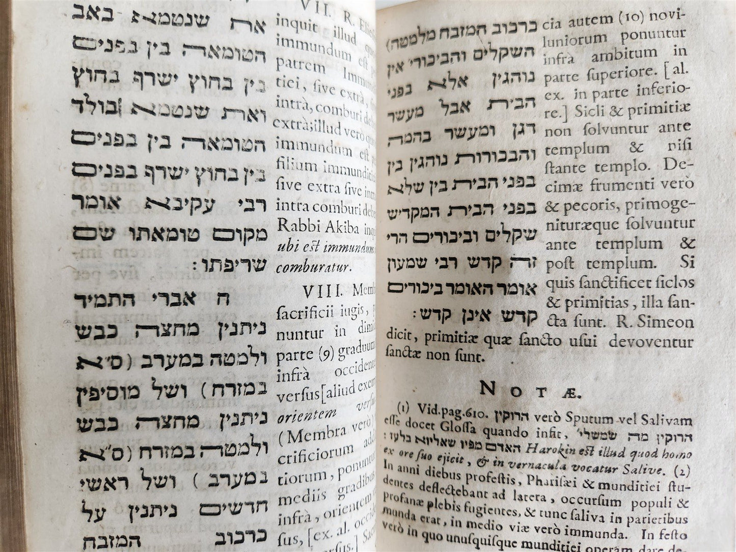 1675 Lexicon rabbinico- philologicum antique JUDAICA