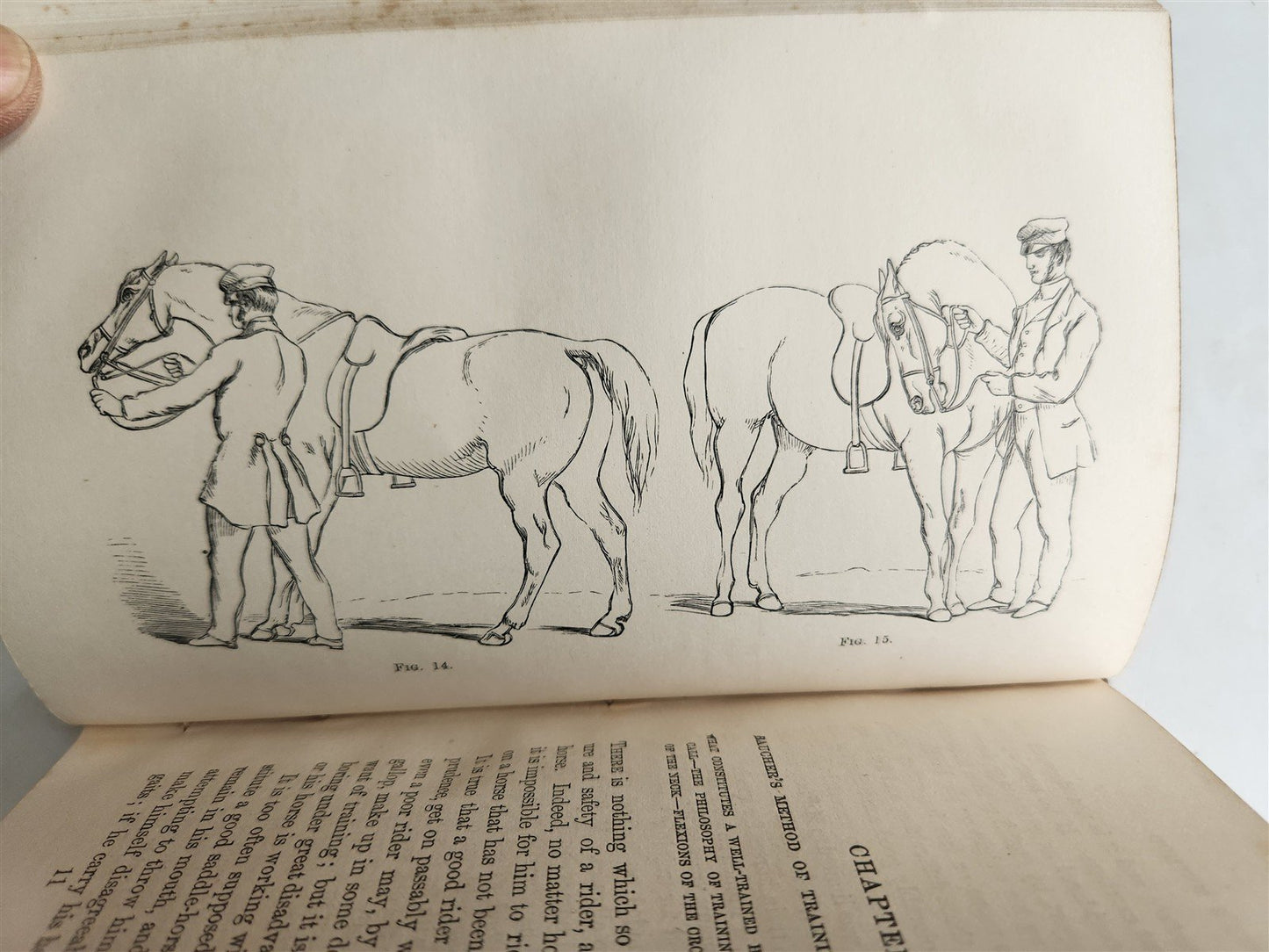 1860 HINTS FOR HORSE KEEPERS HORSEMEN MANUAL CIVIL WAR ERA illustrated ANTIQUE