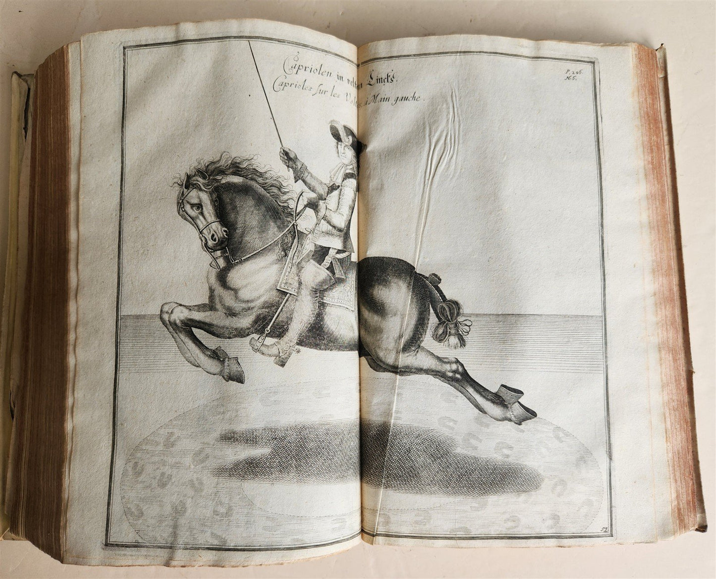 1700 HORSE BOOK FULLY ILLUSTRATED antique RIDING SCHOOL FOLIO