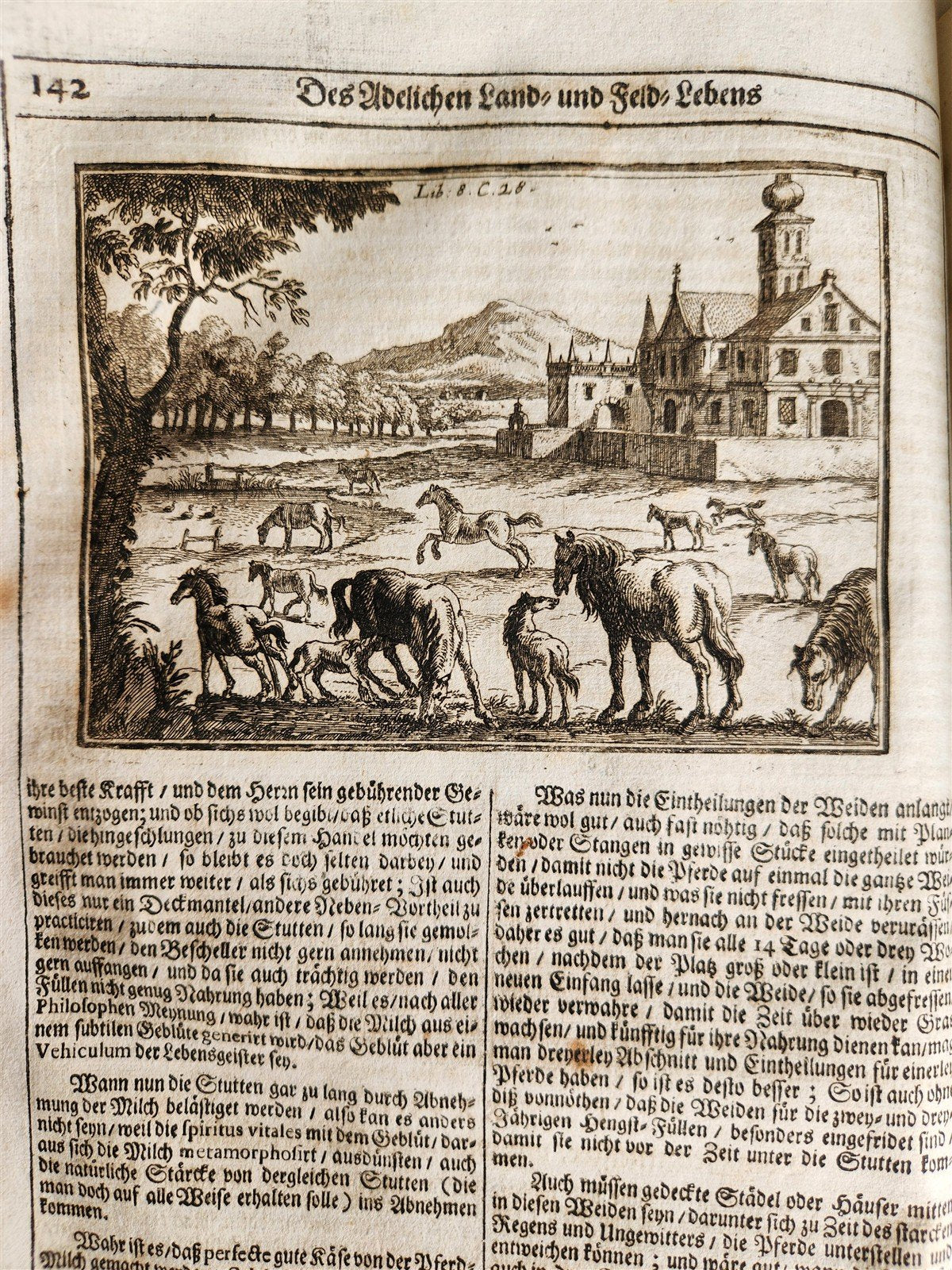 1682 Georgica curiosa ILLUSTRATED noble country life antique PIGSKIN BOUND FOLIO
