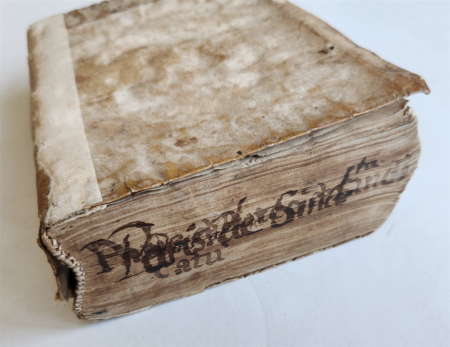 1548 LEGAL TREATISE antique PARIS DE PUTEO de syndicatu NAPLES LAW BOOK