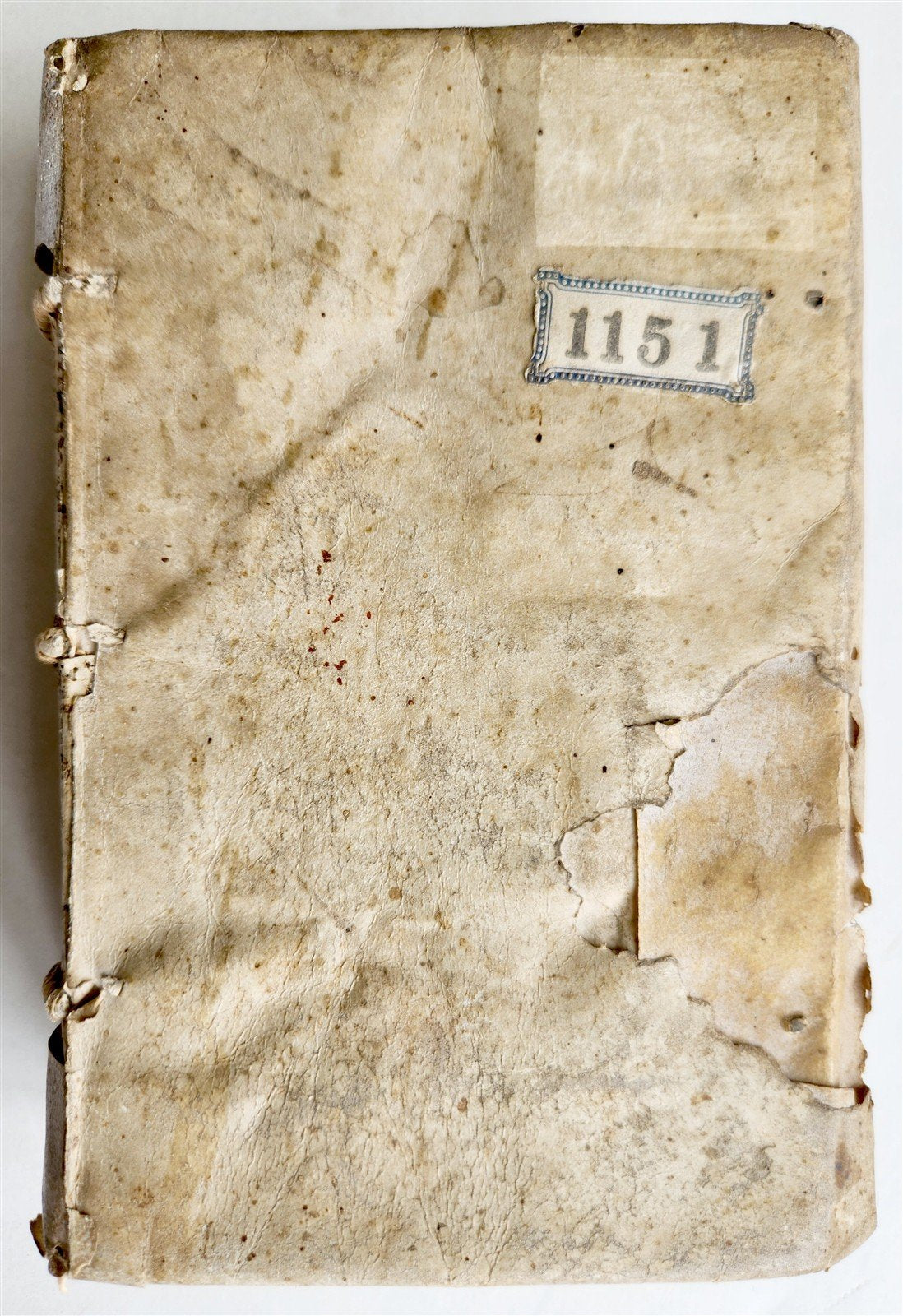 1545 BIBLE COMMENTARIES by Dionysius the Carthusian ANTIQUE vellum 16th CENTURY