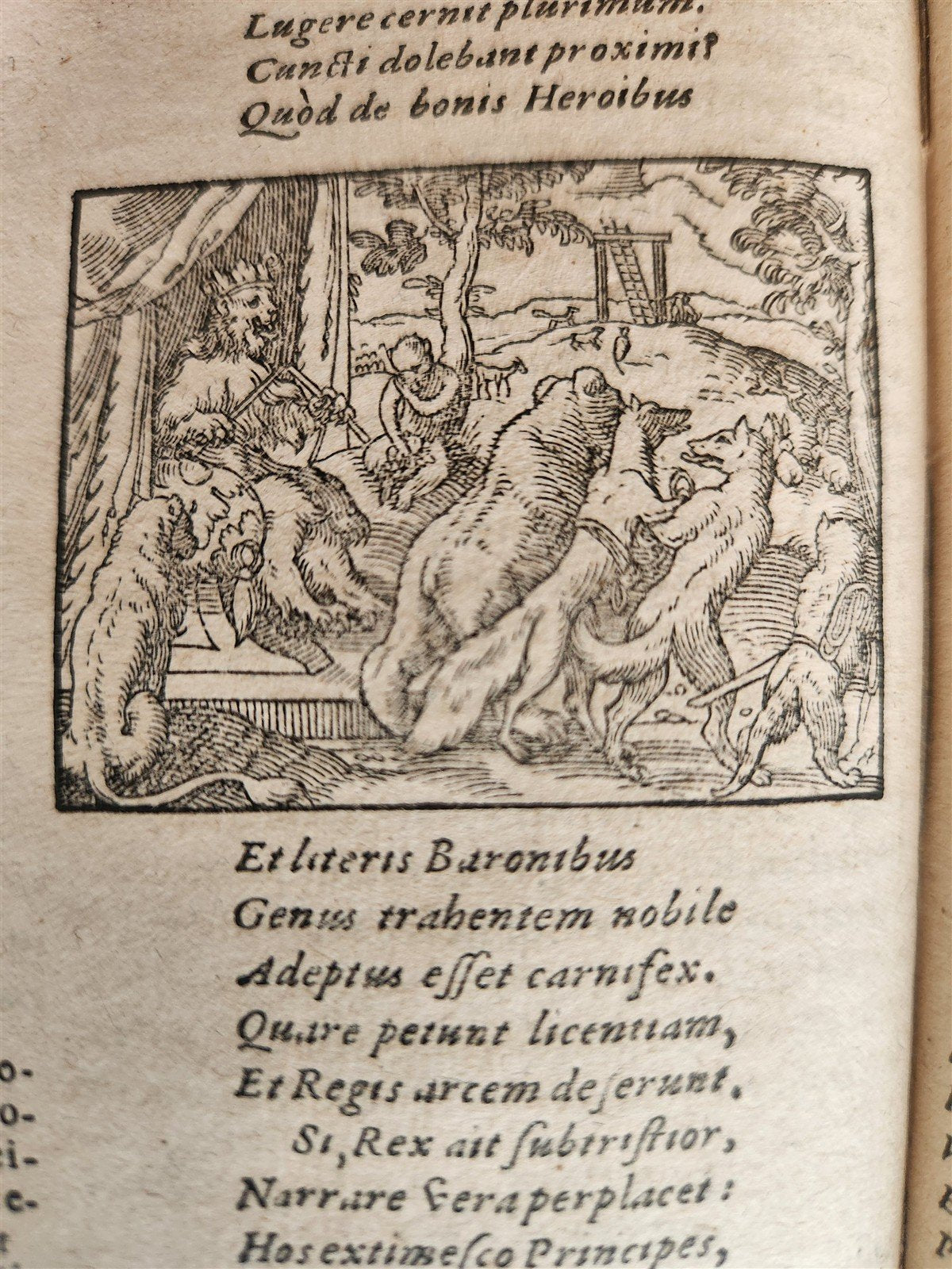 1595 REYNARD the FOX in LATIN illustrated by Jost Amman & Virgil Solis ANTIQUE
