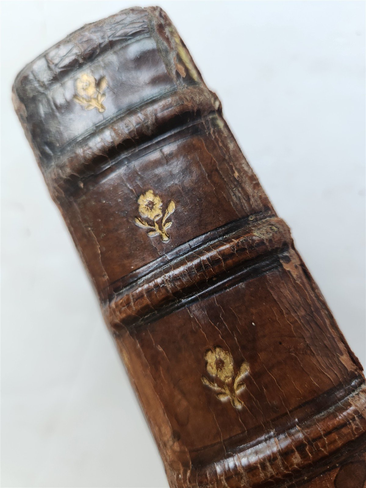 1592 BIBLE in LATIN & GREEK antique NEW TESTAMENT original binding 17th CENTURY