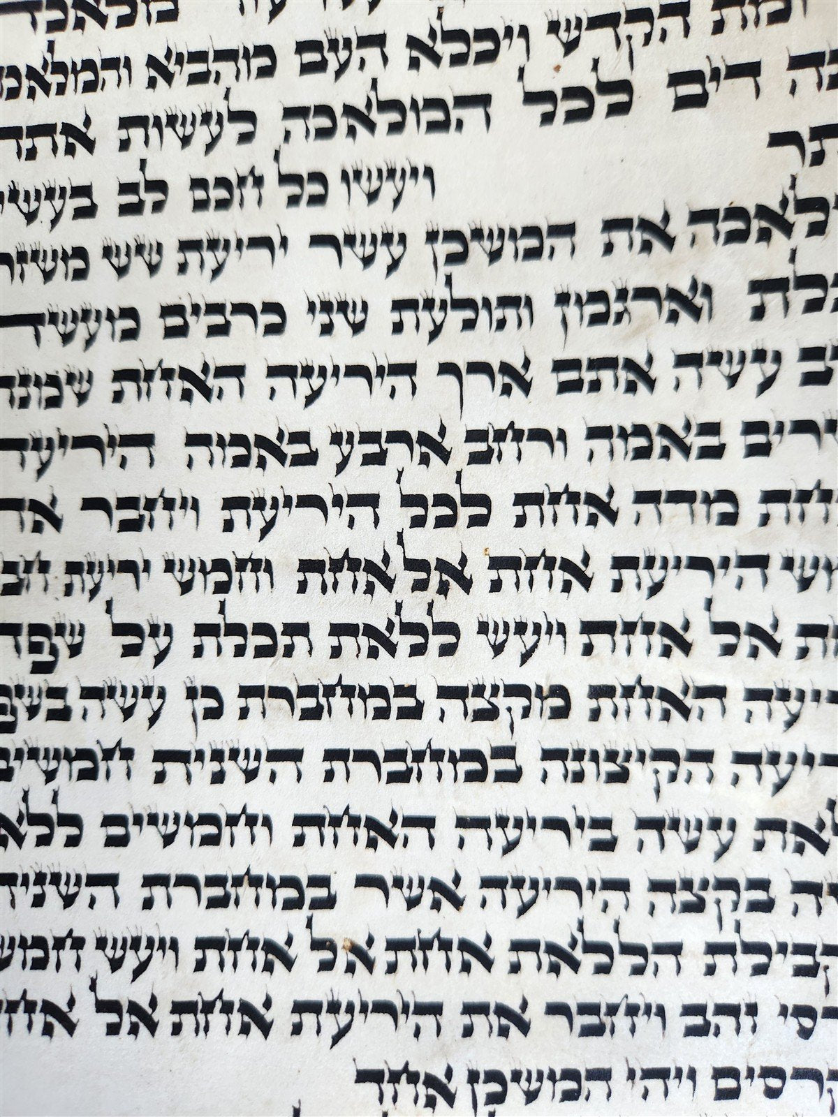 TORAH SCROLL FRAGMENT VELLUM MANUSCRIPT 19th century ANTIQUE Book of EXODUS