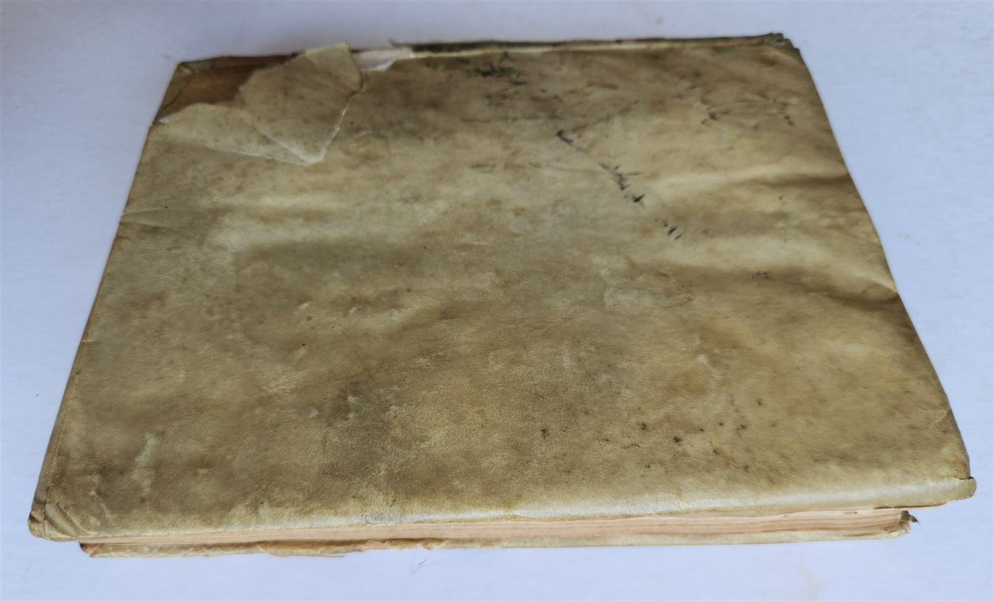1607 De ASTROLOGICA RETIONE Giovanni Antonio Magini ANTIQUE astronomy astrology
