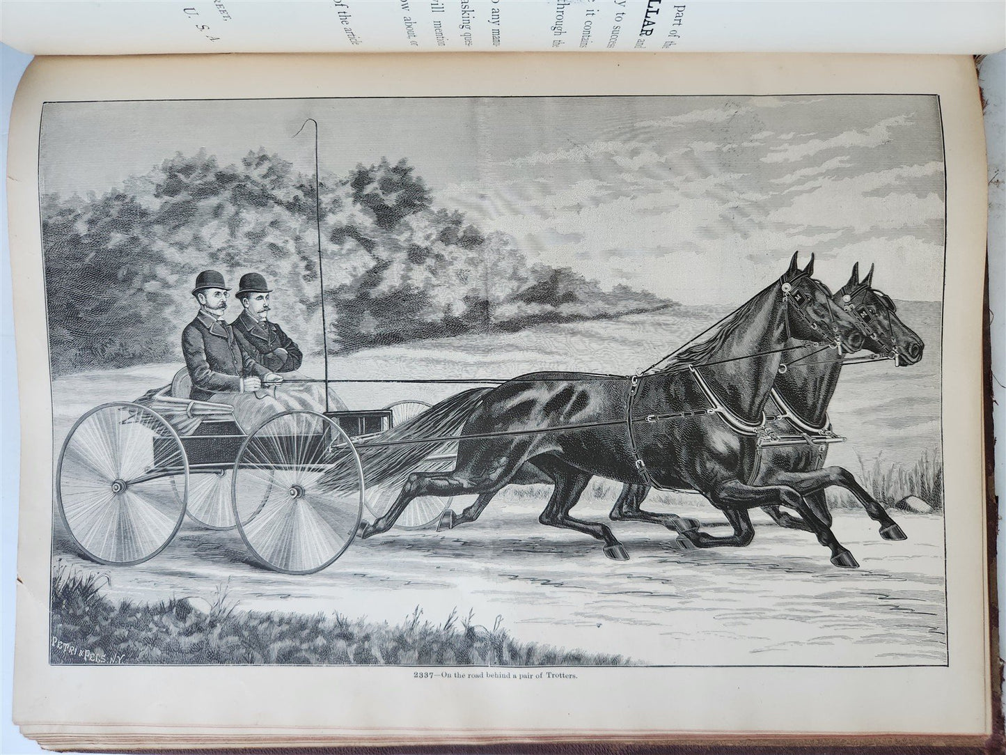 1890 MOSEMAN'S EQUESTRIAN TRADE CATALOG antique ILLUSTRATED FOLIO Americana