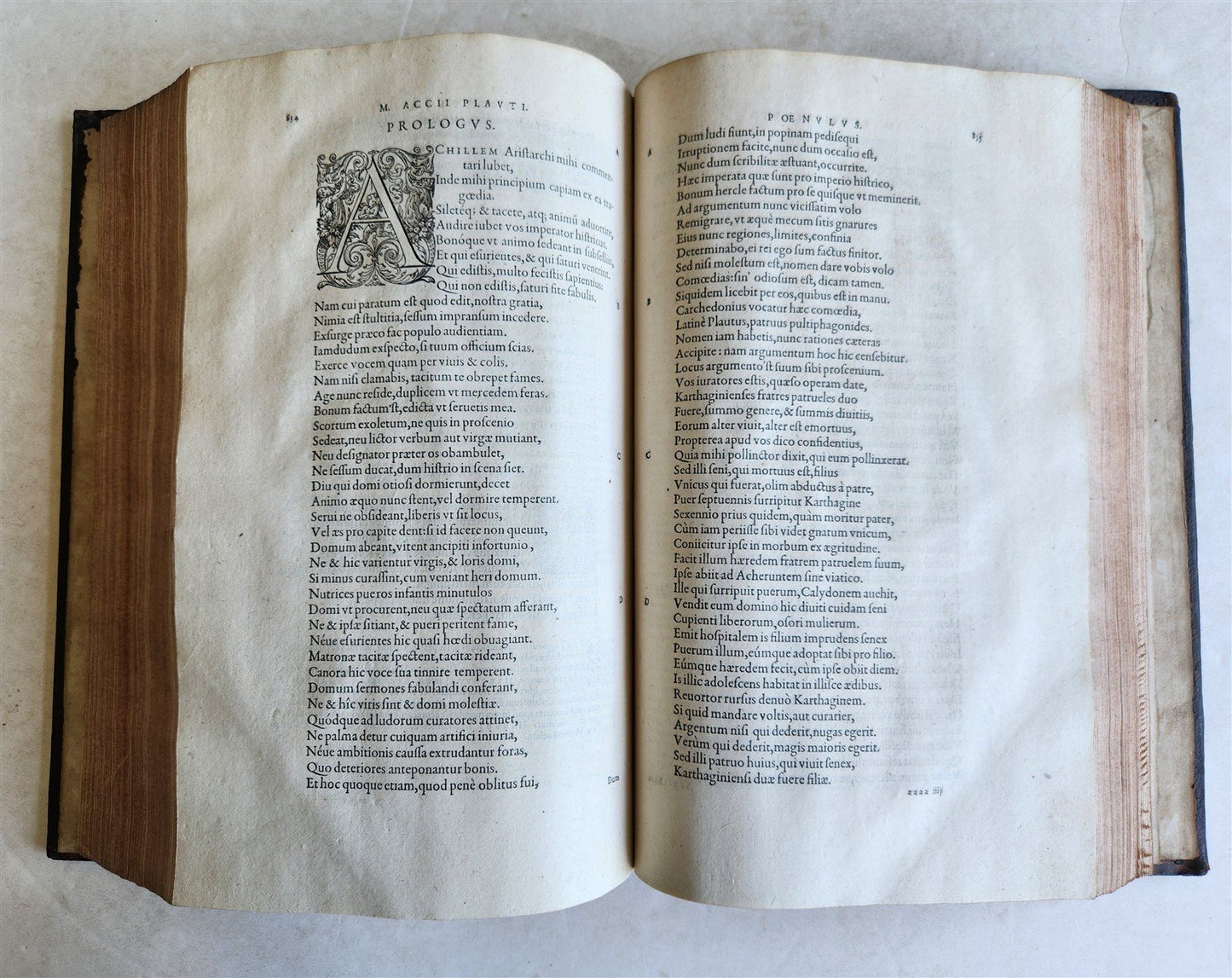 1577 COMEDIES by PLAUTUS Ex Fide, Atque Auctoritate FOLIO antique 16th CENTURY