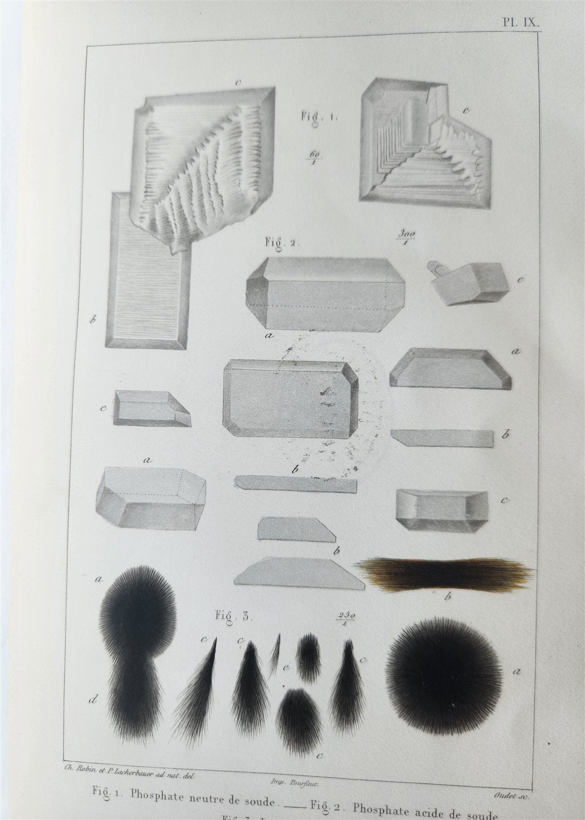 1853 NORMAL & PATHOLOGICAL ANATOMICAL & PHYSIOLOGICAL CHEMISTRY antique ILLUSTR.