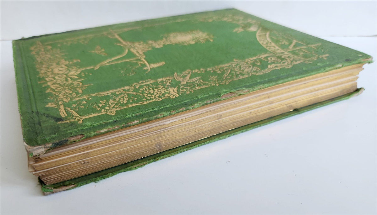 1845 AMERICAN WILD FLOWERS in THEIR NATIVE HAUNTS antique 1st ED. ILLUSTRATED