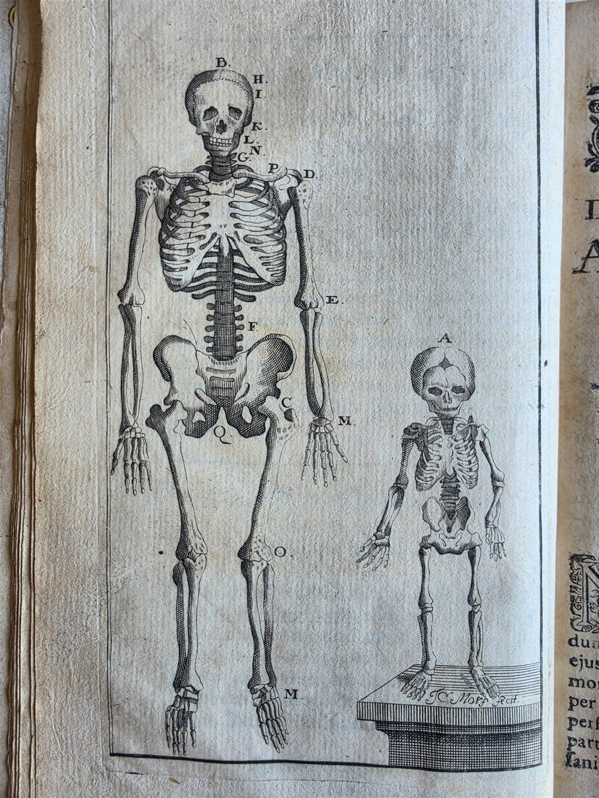 1696 ANATOMICAL TREATISE Anatomia Corporis Humani P.DIONIS antique ILLUSTRATED