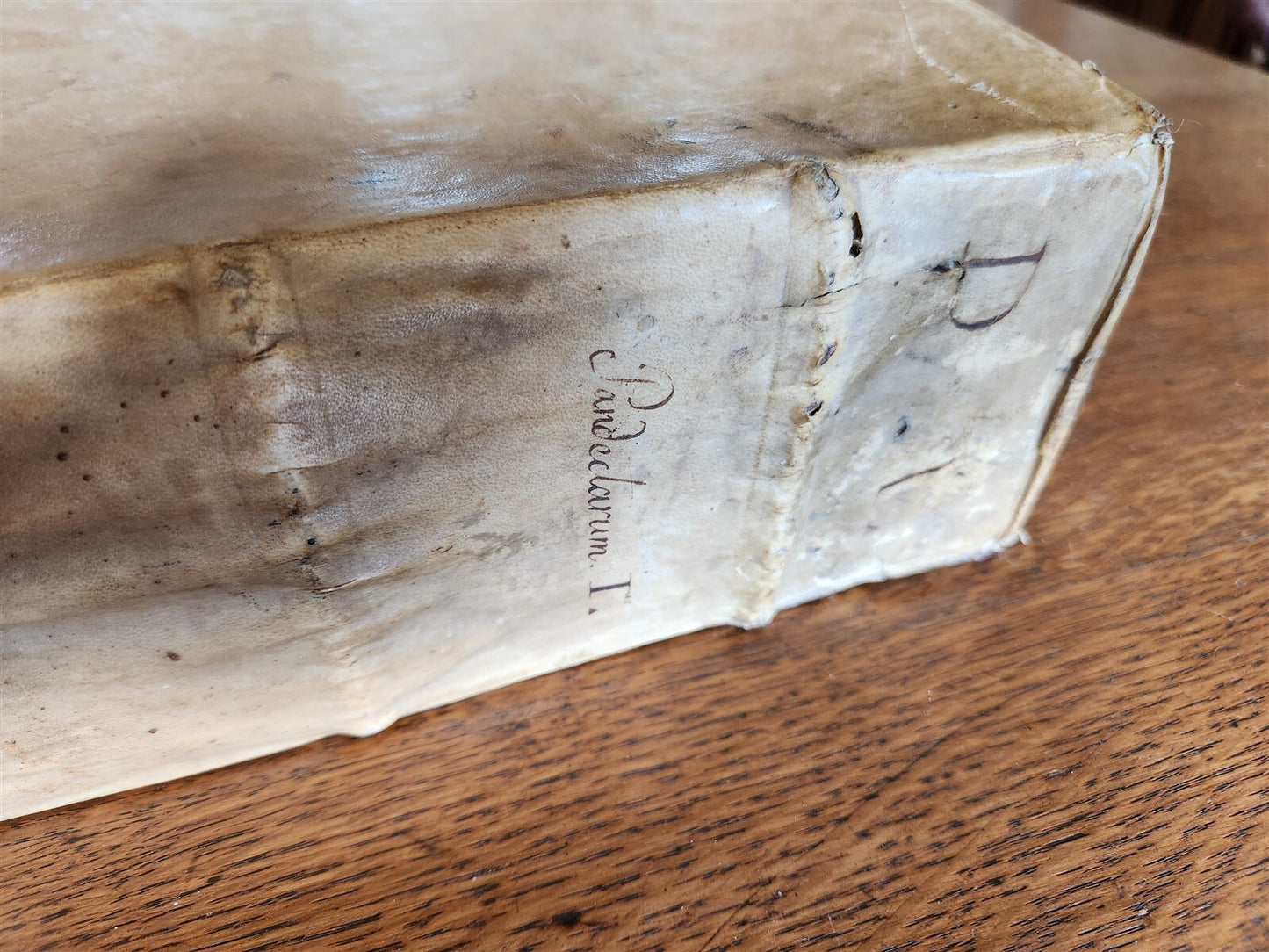 1557 LAW BOOK PART of Corpus Juris Civilis DIGESTA antique MASSIVE FOLIO vellum