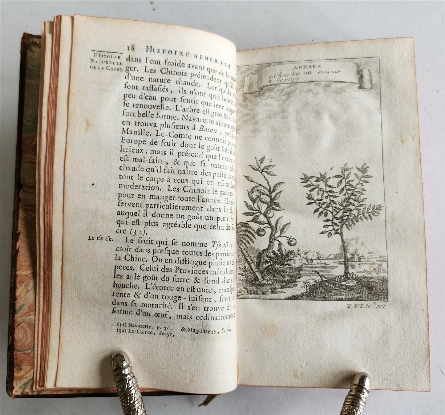 1749 HISTOIRE des VOYAGES illustrated v.24 CHINA NATURAL HISTORY TRAVELS antique