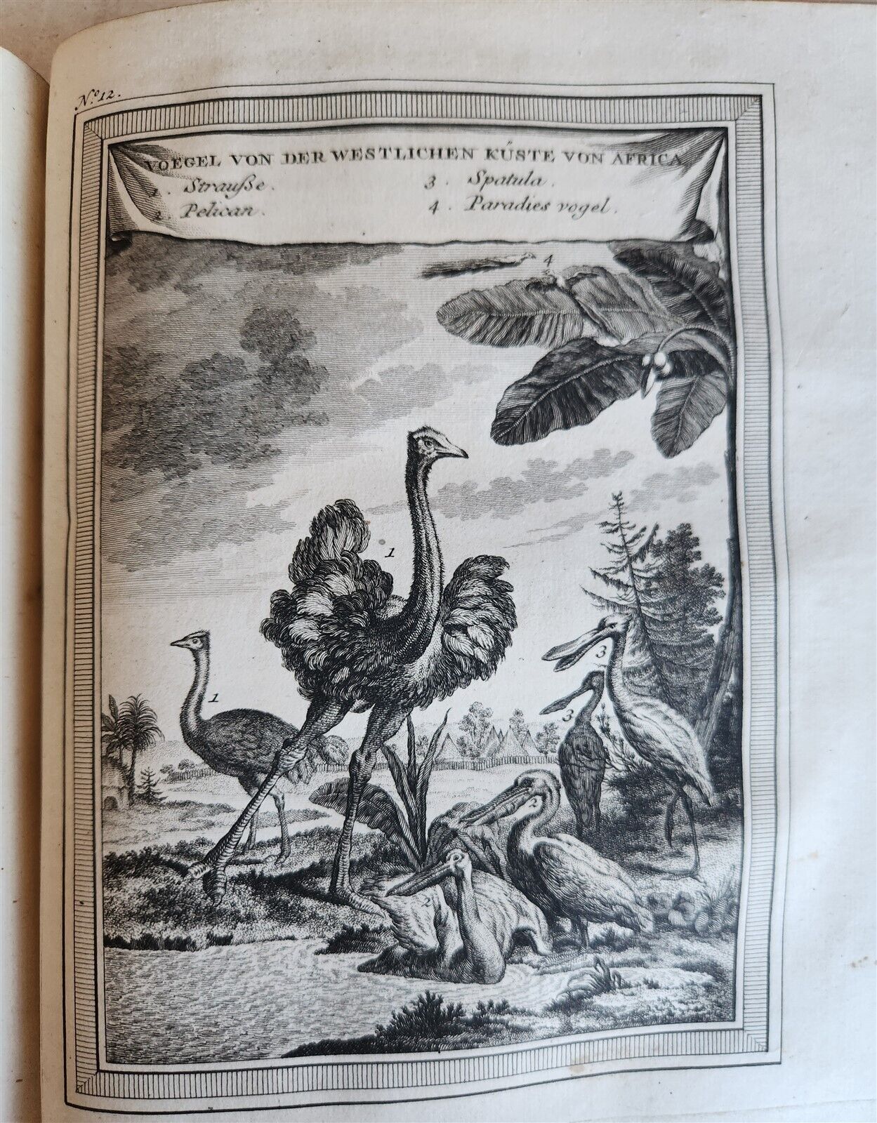 1748 HISTORY of TRAVELS Guinea Benin & Sierra Leone antique ILLUSTRATED