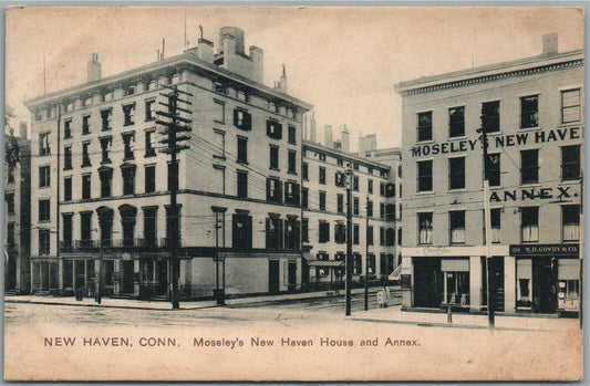 NEW HAVEN CT MOSELEY'S HOUSE ANTIQUE POSTCARD