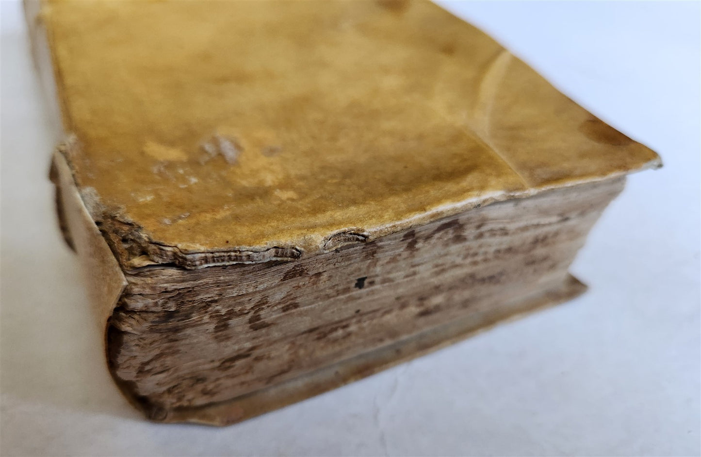 1581 SERMONS by MUSSO COPRNELIO antique 16th CENTURY vellum ILLUSTRATED scarce