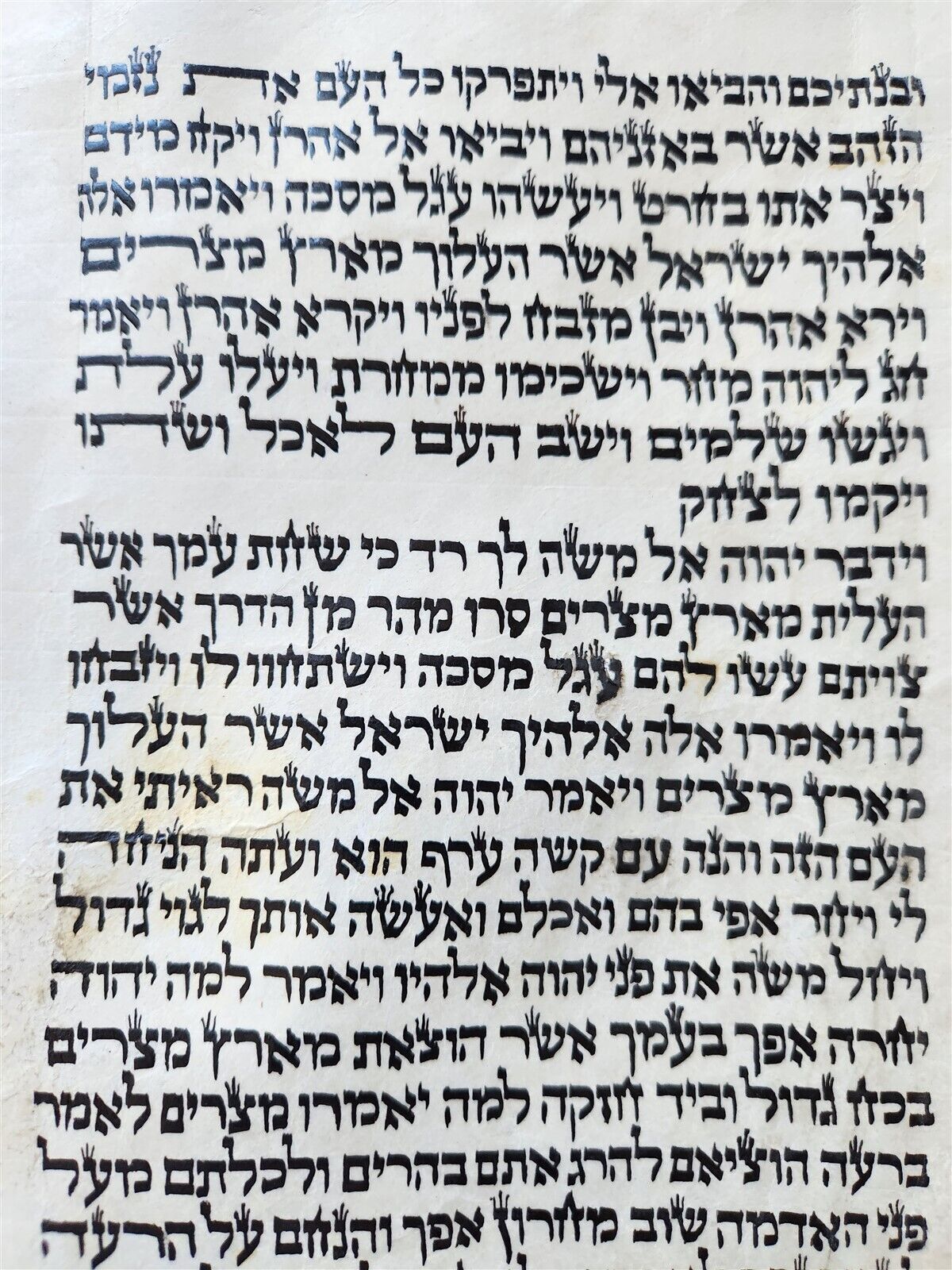 TORAH SCROLL FRAGMENT MANUSCRIPT on VELLUM antique BIBLE EXODUS 32:2 - 34:35