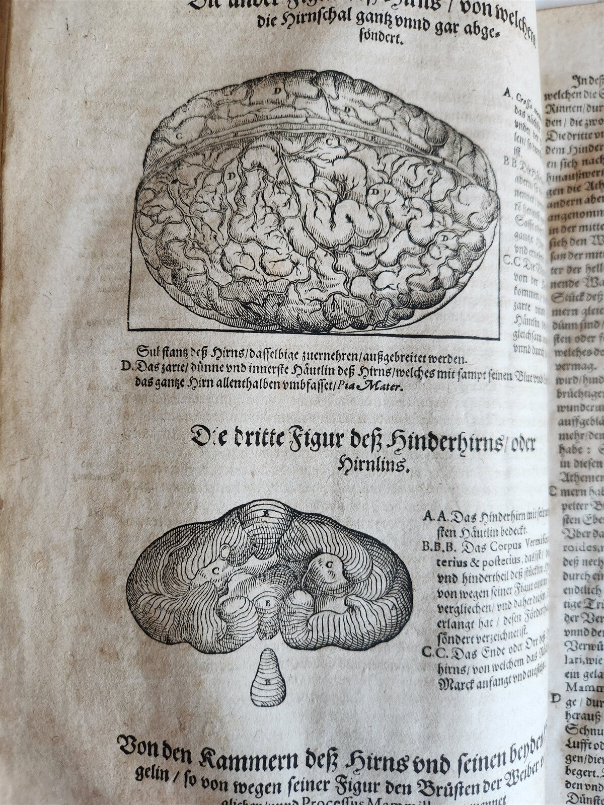 1601 WOUND MEDICINE antique ILLUSTRATED WundArtzney oder Artzney spiegell FOLIO