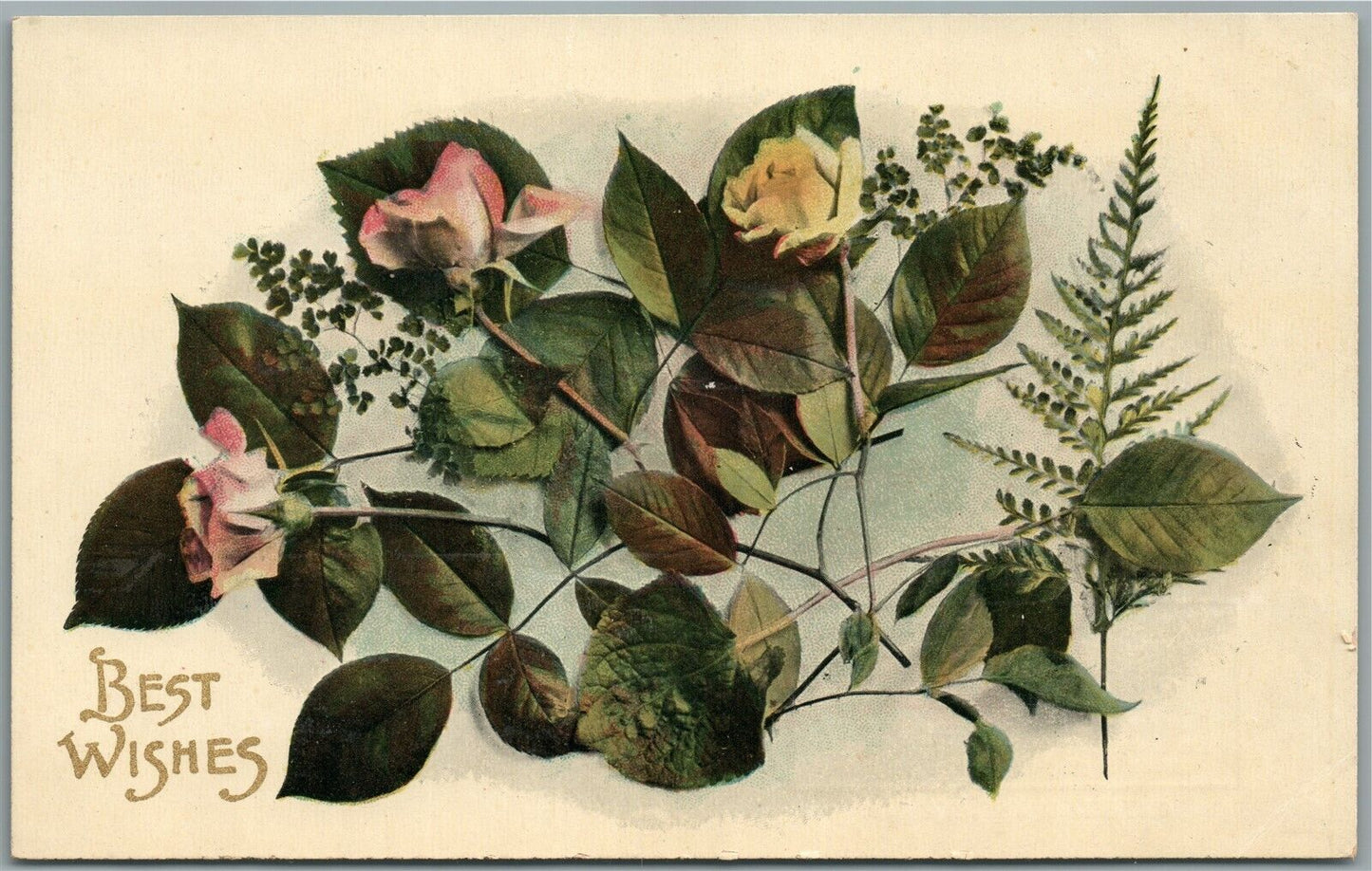 CANADA TORONTO FURNITURE STORE ADVERTISING ANTIQUE POSTCARD