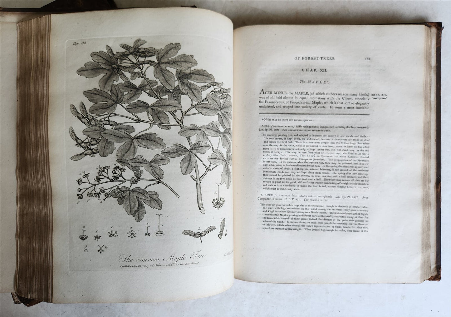 1801 SILVA: DISCOURSE OF FOREST TREES 2 VOLUMES ILLUSTRATED antique in ENGLISH