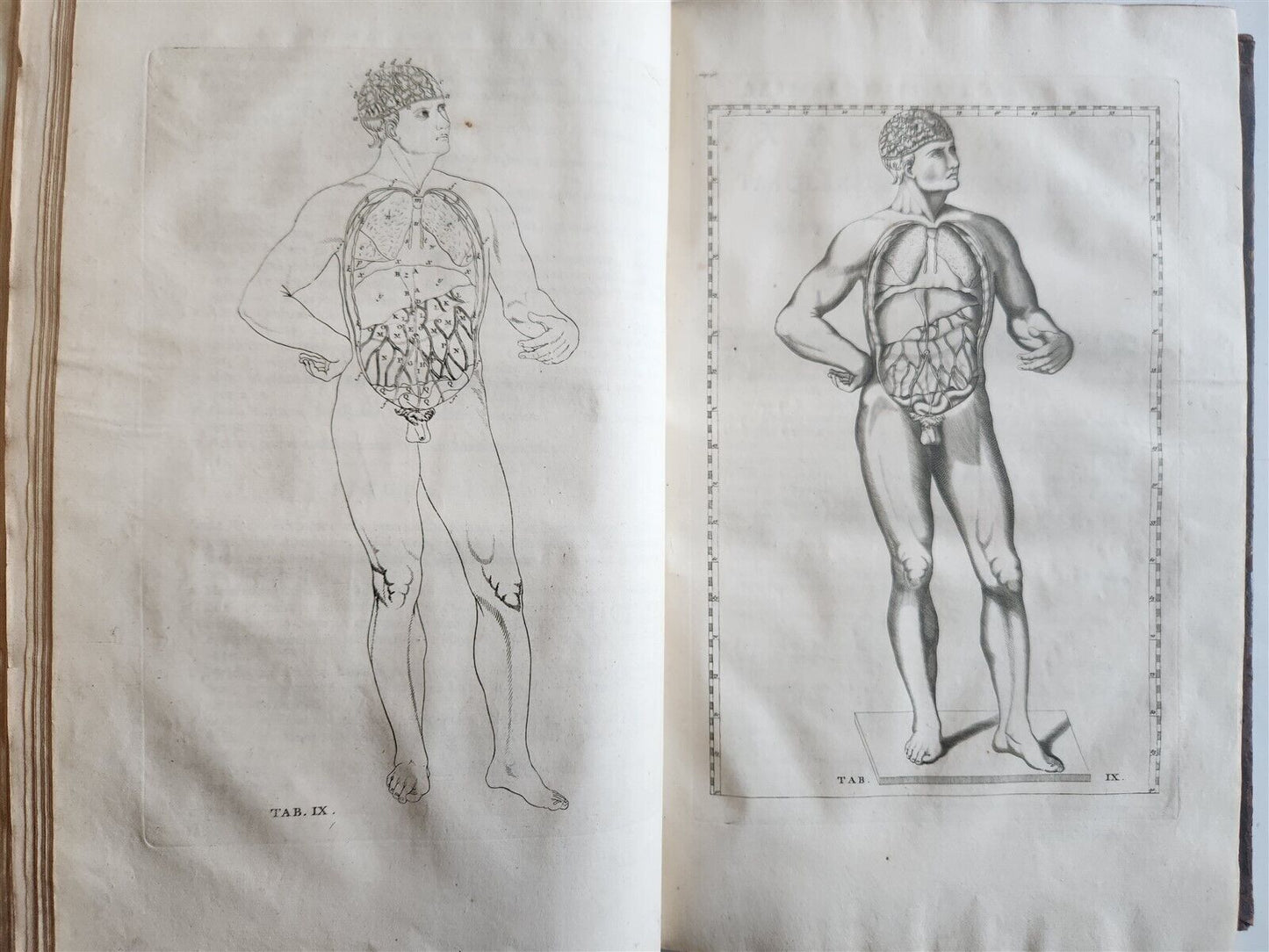 1744 ILLUSTRATED ANATOMY antique FOLIO Explicatio tabularum anatomicarum ALBINUS
