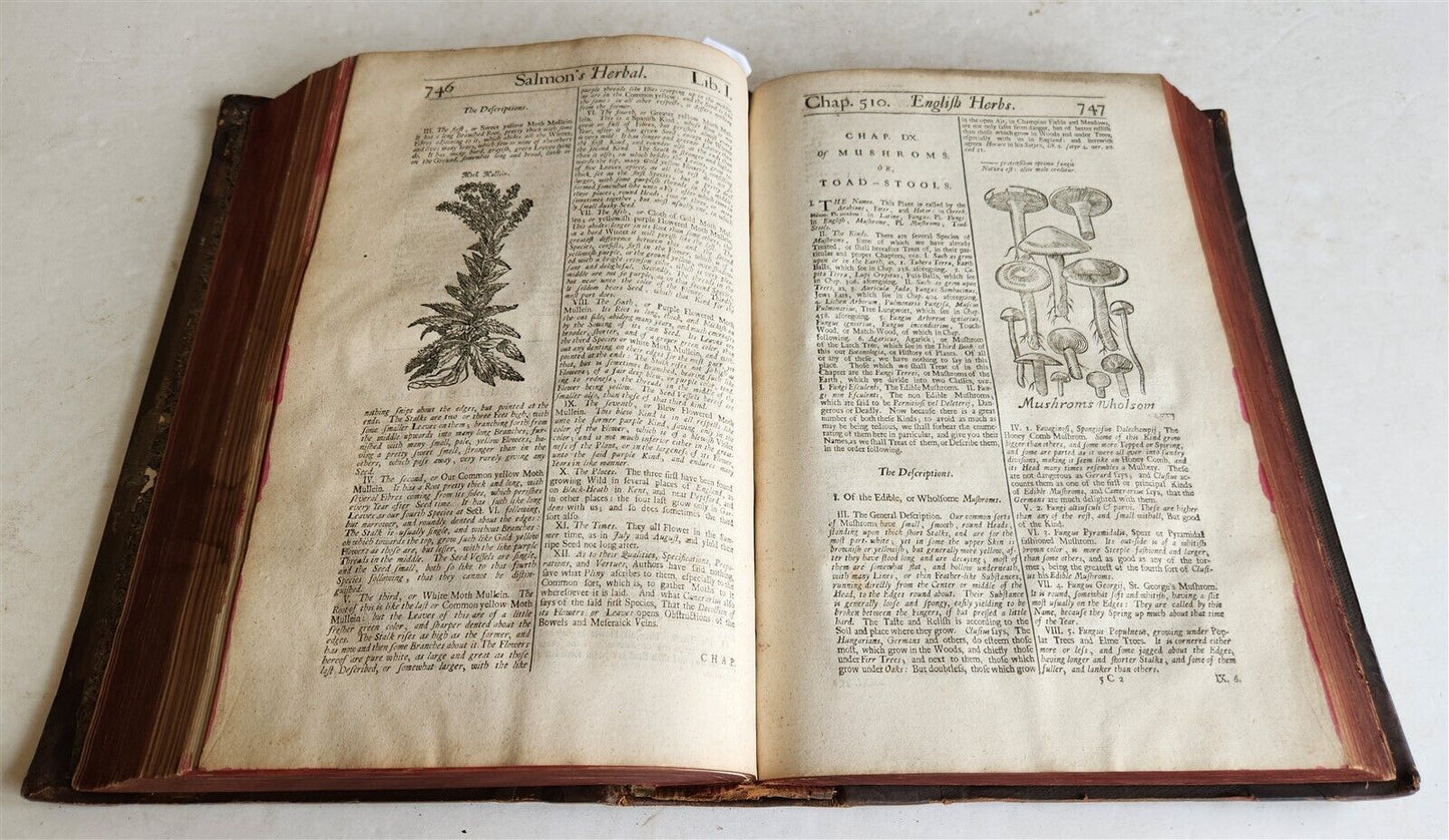 1710 BOTANOLOGIA ENGLISH HERBAL antique ILLUSTRATED MASSIVE FOLIO