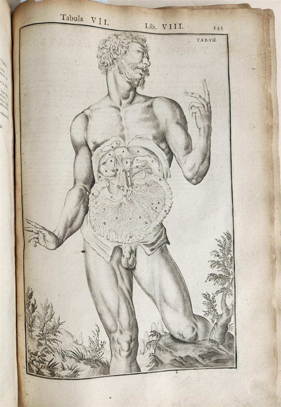 1645 ANATOMY TREATISE Adrian Spigelius 176 ENGRAVINGS ILLUSTRATED FOLIO antique