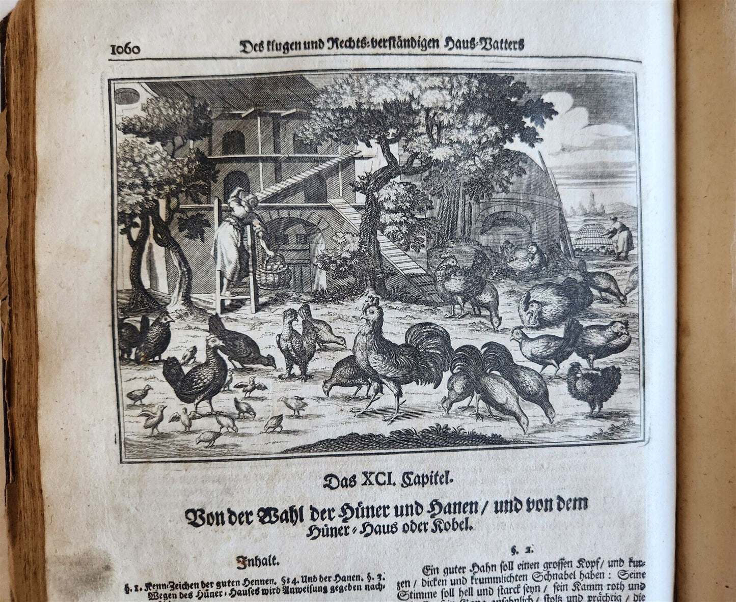 1702 Oeconomus prudens ILLUSTRATED 2 FOLIO VOLUMES antique in GERMAN