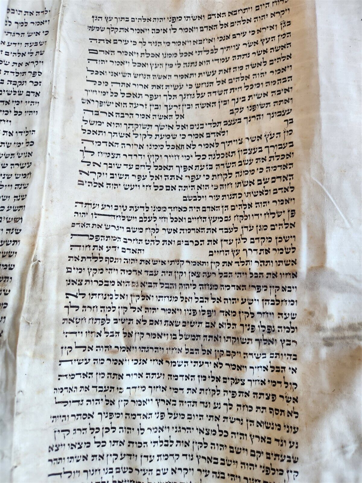 TORAH SCROLL FRAGMENT MANUSCRIPT on VELLUM antique BIBLE CREATION of the WORLD