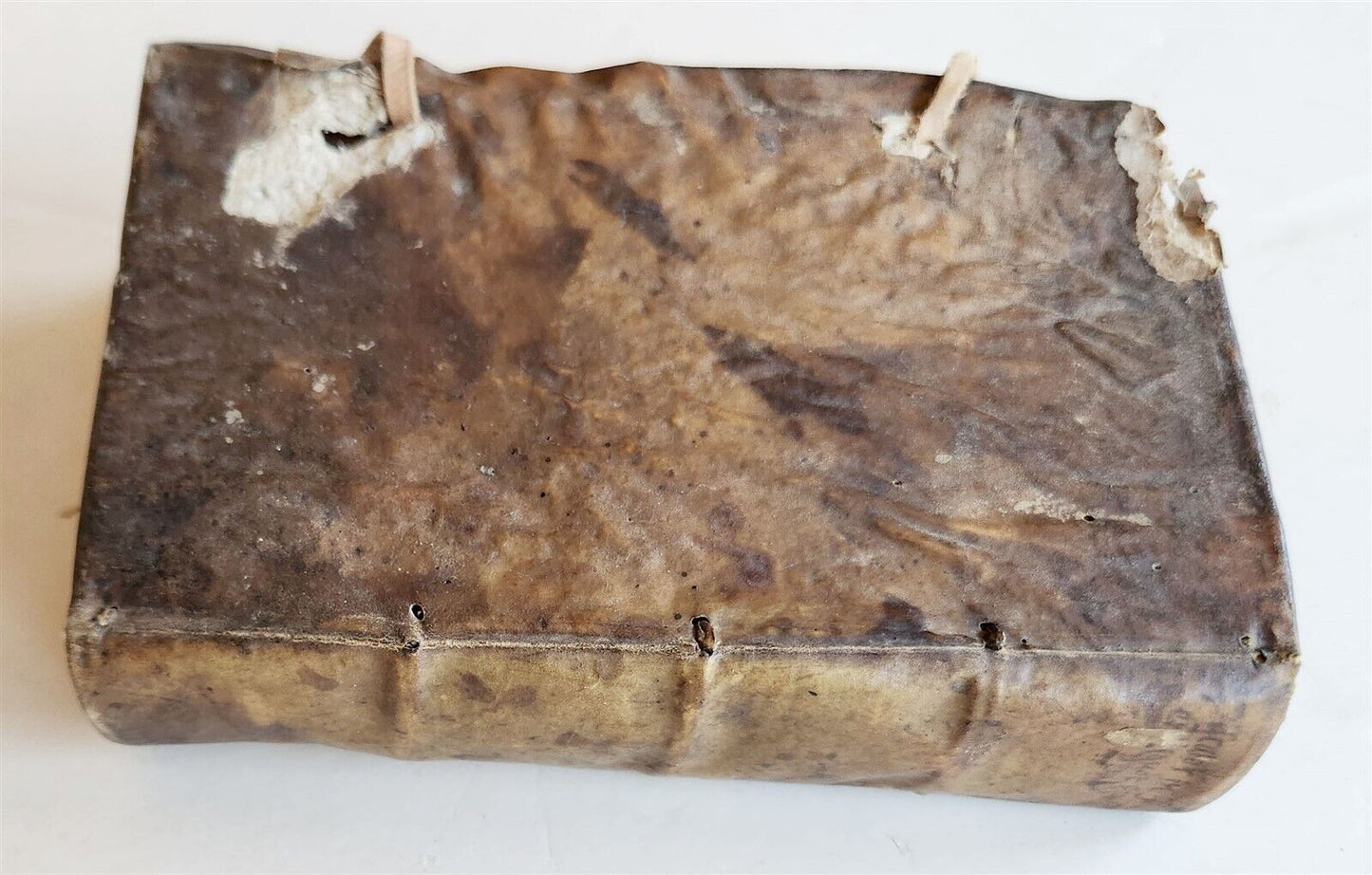 1603 BIBLE COMMENTARY by J. PISCATOR antique VELLUM BINDING