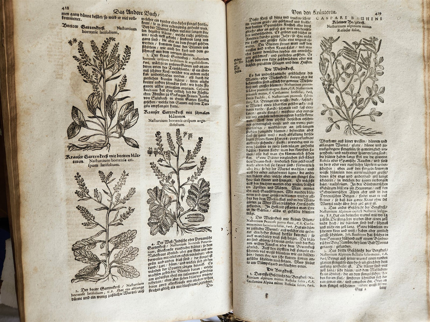 1696 THEATRUM BOTANICUM by Theodor ZWINGER antique ILLUSTRATED FOLIO in GERMAN