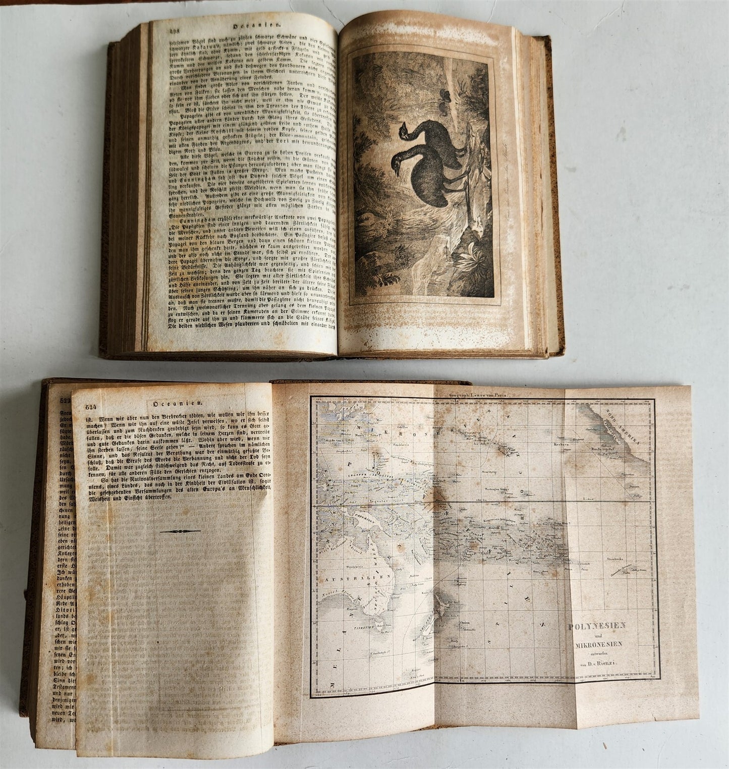 1838 TRAVELS to OCEANIA MALAYSIA POLYNESIA 3 VOLUMES antique ILLUSTRATED German