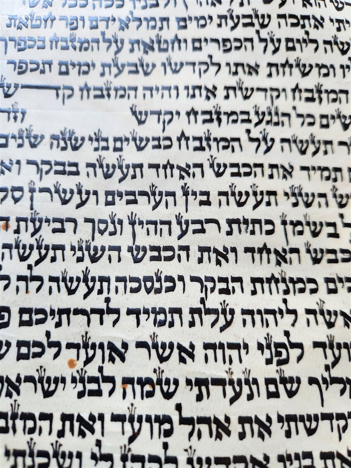 TORAH SCROLL FRAGMENT MANUSCRIPT on VELLUM antique BIBLE EXODUS 29:4-32.2