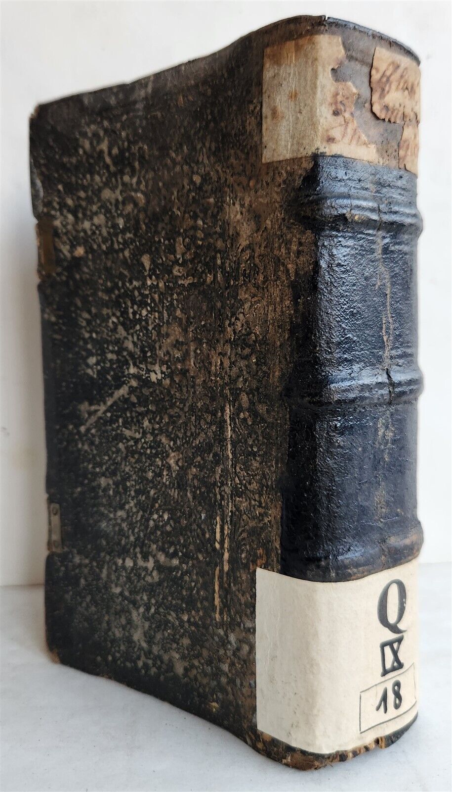 1561 THEOLOGY by FLORIAN TREFLER antique PIGSKIN BINDING 16th CENTURY