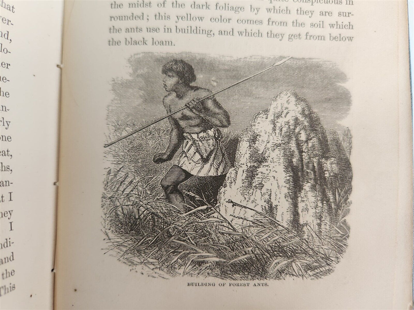 1871 MY APINGI KINGDOM LIFE in GREAT SAHARA PAUL DU CHAILLU antique ILLUSTRATED