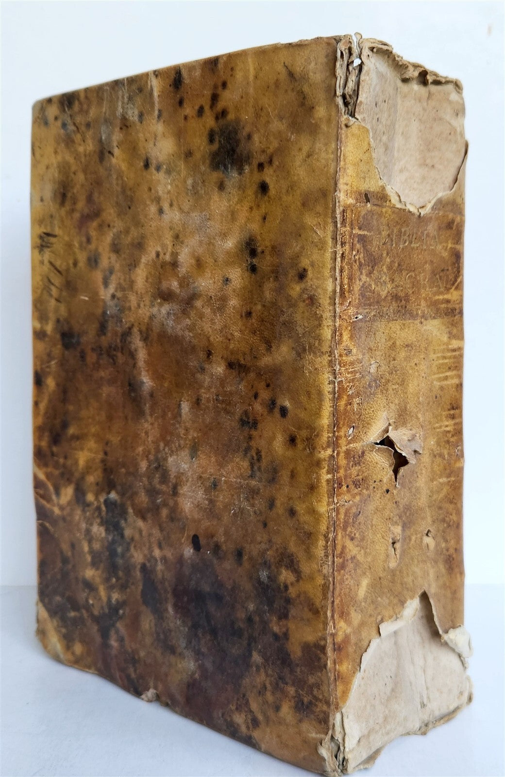 1721 BIBLE in LATIN FULLY ILLUSTRATED antique vellum bound