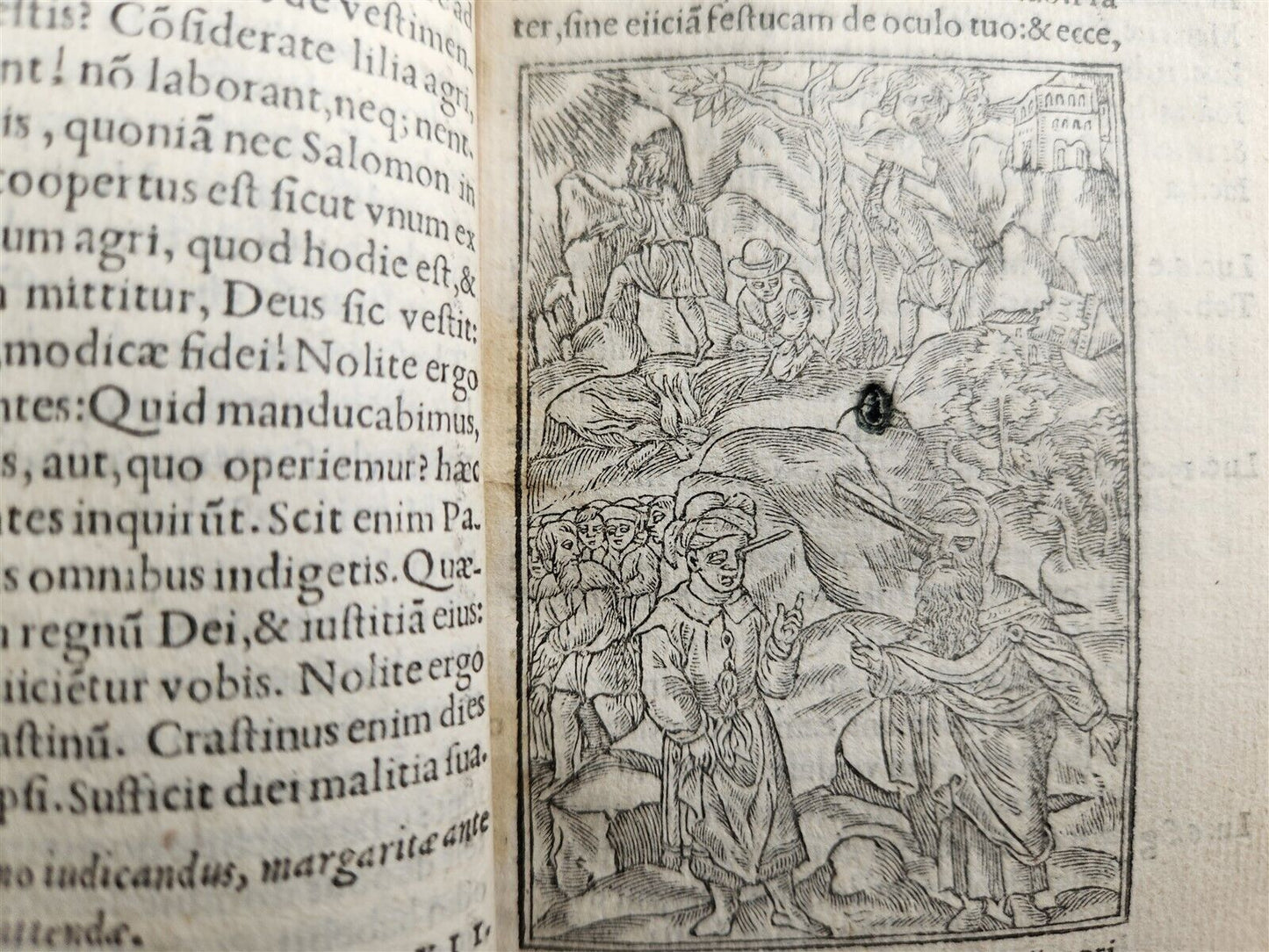 1548 BIBLE IN LATIN ILLUSTRATED antique 16th CENTURY NEW TESTAMENT rare